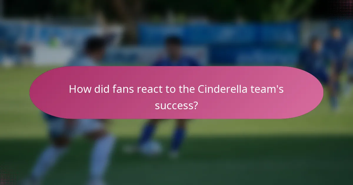 How did fans react to the Cinderella team's success?