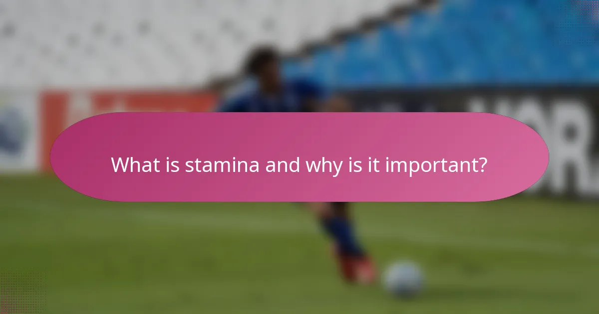 What is stamina and why is it important?